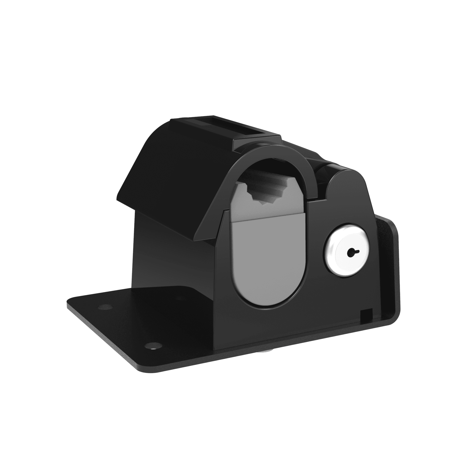 Clasp lock insert